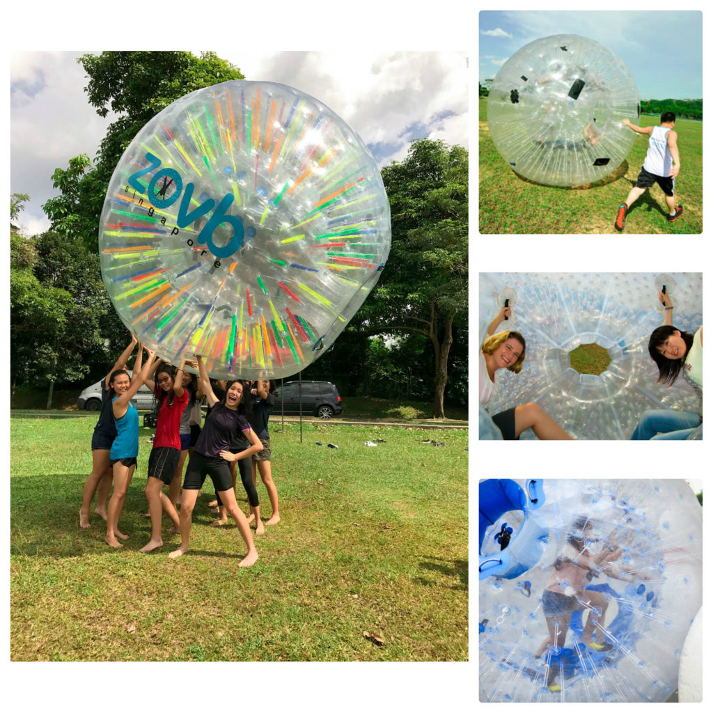 hamster ball singapore