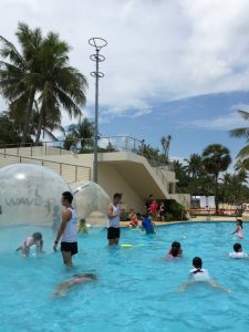 Children and adults enjoying water zorb walking in a pool at ZOVB Singapore, surrounded by palm trees and a sunny sky, highlighting recreational water activities.
